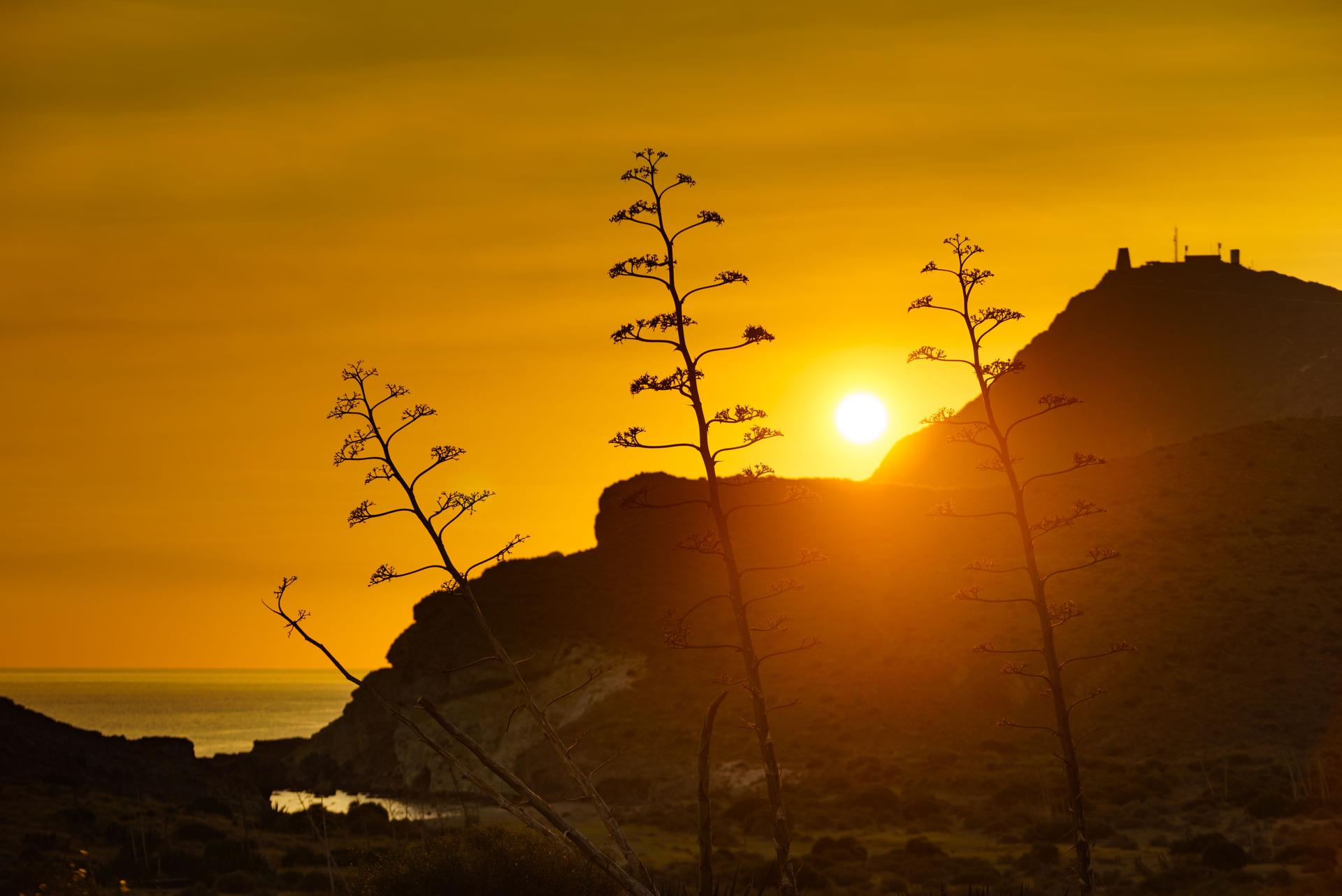 Coast landscape at sunset in Spain