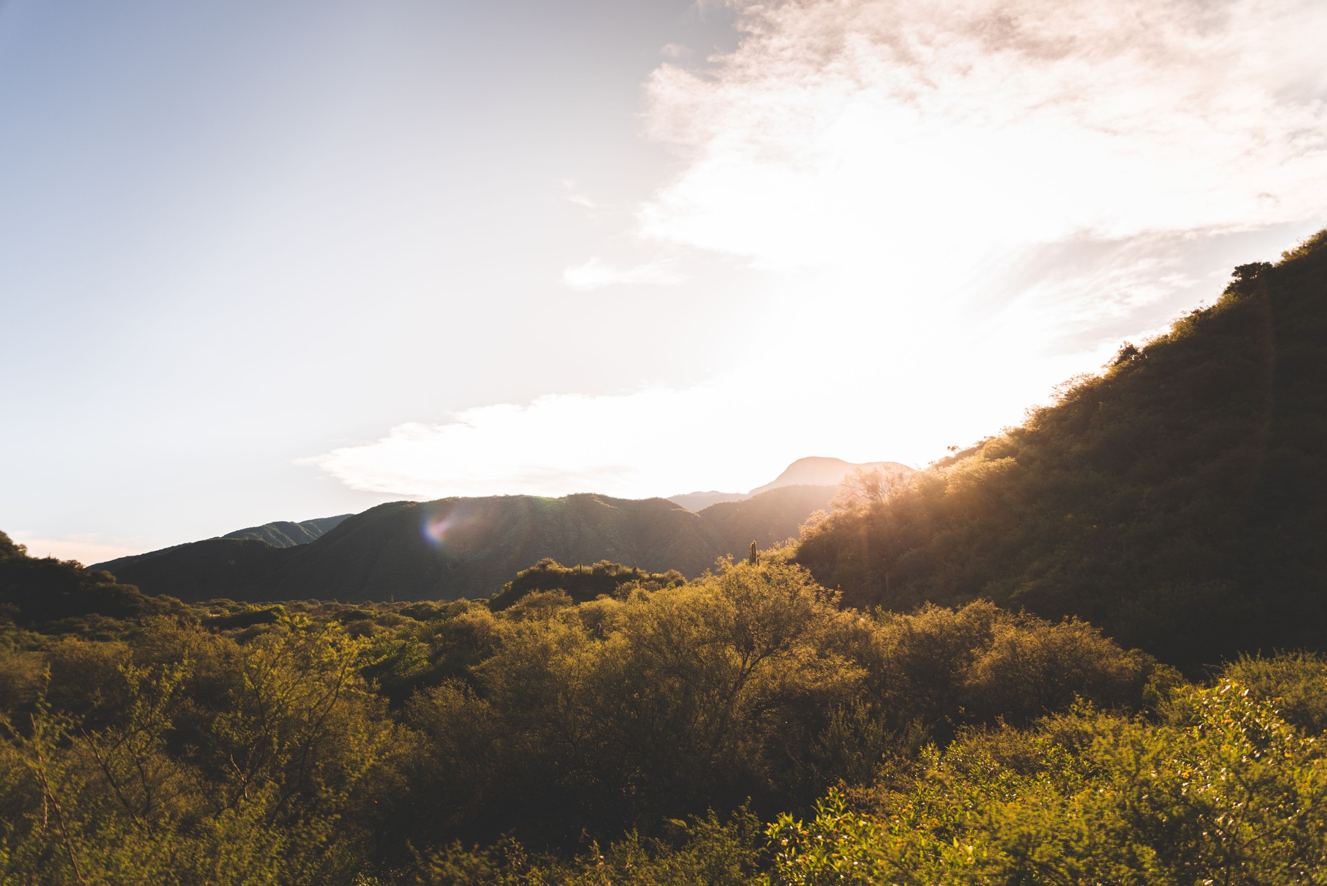Sunny sunset in mountains with vegetation Catamarca Argentina shincal ruins